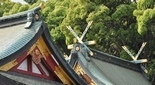 西宮神社の千木