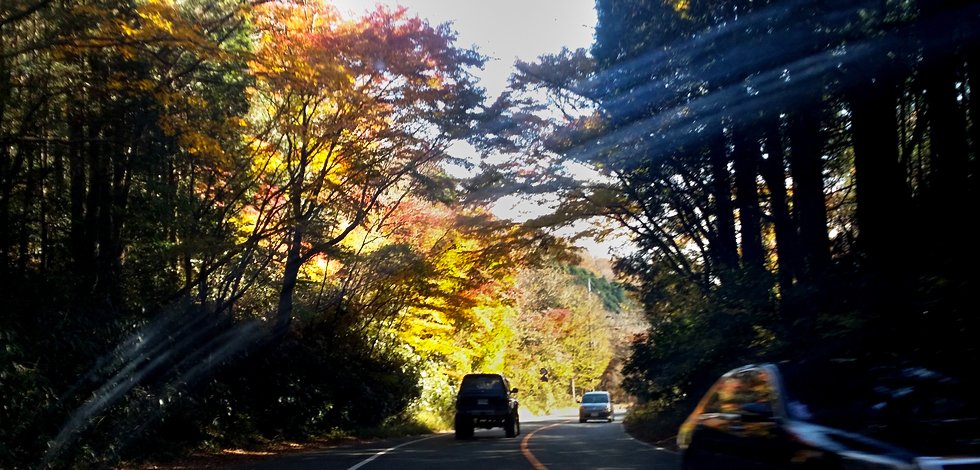 箱根の紅葉 富士山の見える日帰り温泉 箱根 龍宮殿 口コミ オススメ 平成29年11月27日 遊佐敏哉 開運フレンドブック