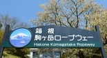 箱根駒ヶ岳ロープウェーと桜