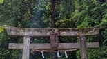 瀧川神社スピリチュアル写真 鳥居の光
