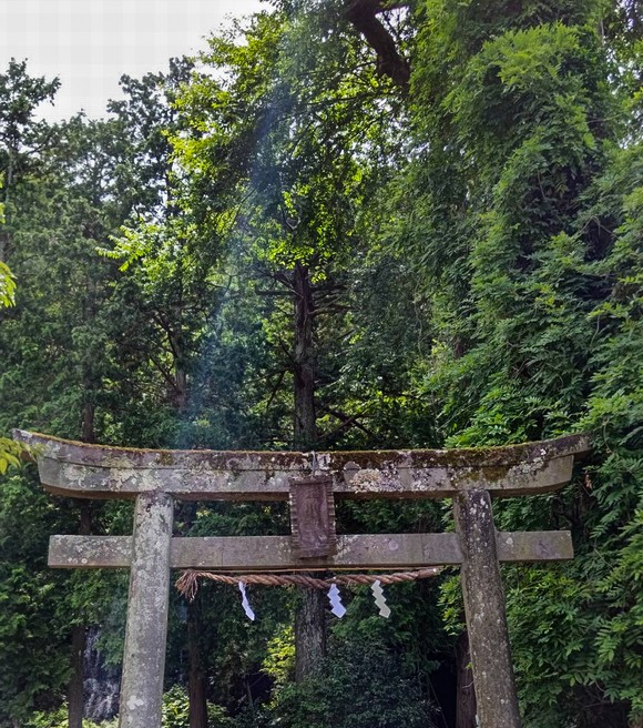 瀧川神社スピリチュアル写真 鳥居の光