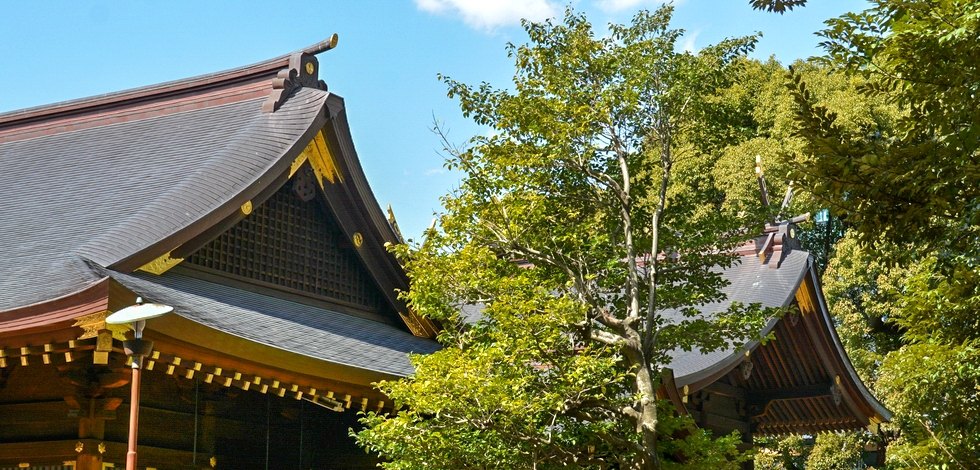 渋谷氷川神社本殿の千木・鰹木
