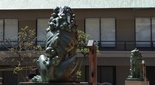 生田神社の狛犬（神戸市）