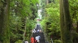 箱根神社で九頭龍神社の木のお札を拝受