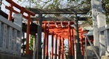 ウカノミタマ 平塚 港稲荷神社