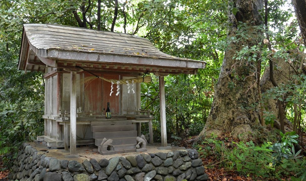 オオゲツヒメ 神奈川県大磯町 稲荷神社
