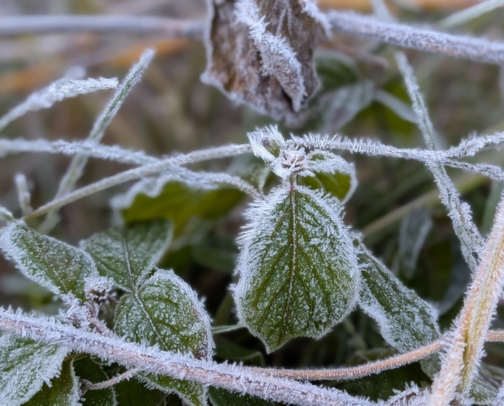 �����̔��ɑ����~��܂���