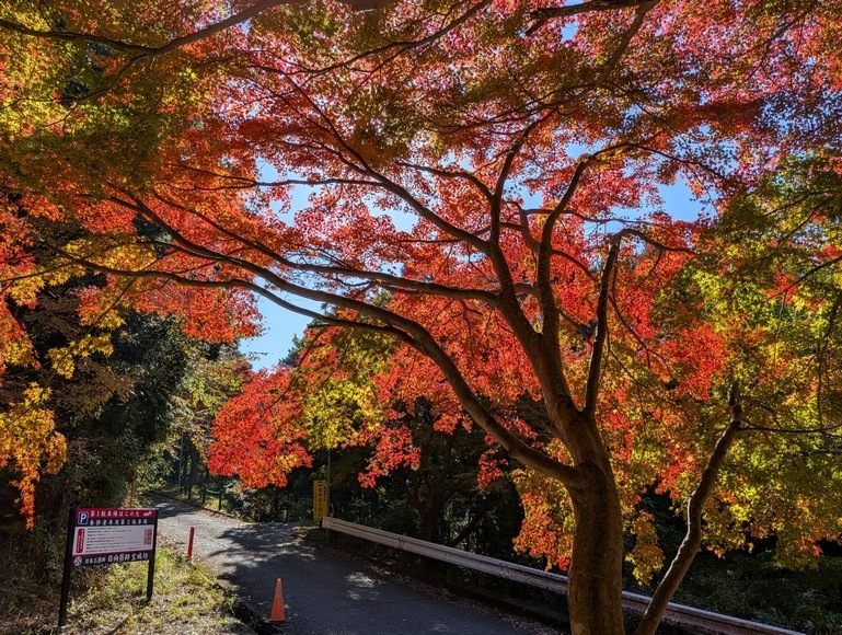 ������t�̍g�t 2025