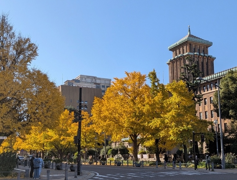 {ʂ̃C`E؂̍gt Cݒʂ