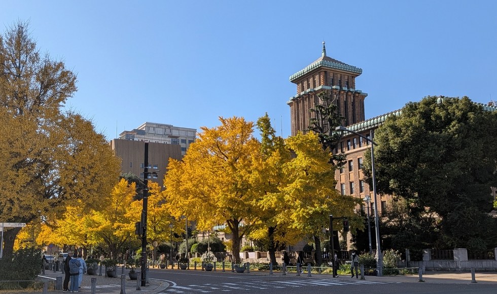 {ʂ̃C`E؂̍gt Cݒʂ