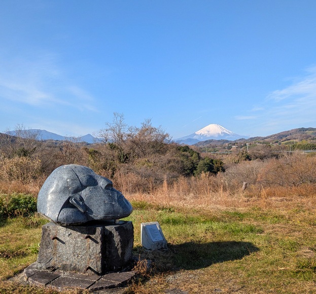 �J�^ ���肪�Ƃ��E�H�[�L���O ���䒬