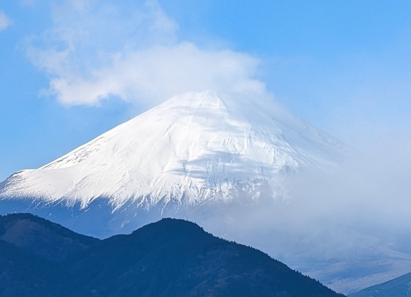 �x�m�R��������J�^�X�|�b�g ���c�R�n�[�u�K�[�f��