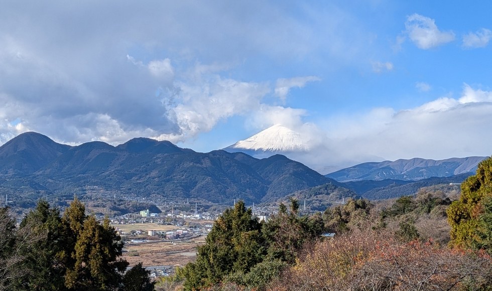 ���c�� ���A�a�\�h�E�H�[�L���O �n�[�u�K�[�f��