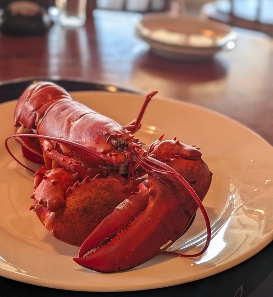 ���A�a�΍􃉃��` ���� ���b�h���u�X�^�[