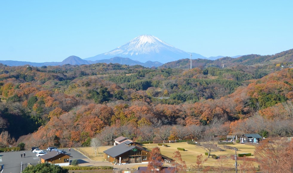 ���䒬 ���A�a�\�h�E�H�[�L���O ���䒆������