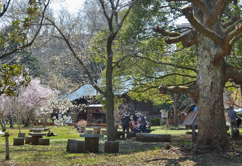 糖尿病予防ウォーキング 秦野 くずは峡谷公園