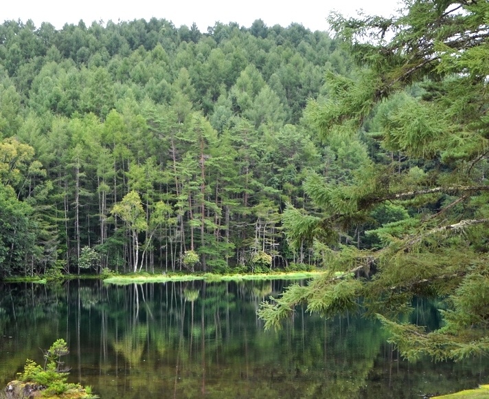 ��ˎ��r�̃x�X�g�V�[�Y���͂��ł���