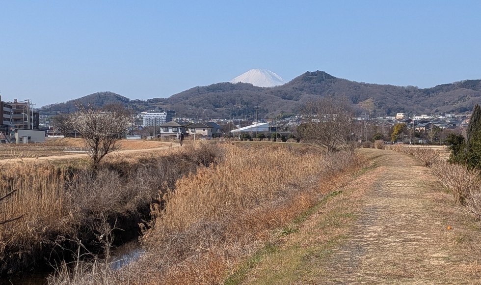 �J�^ ���肪�Ƃ��E�H�[�L���O �`�� �卪��