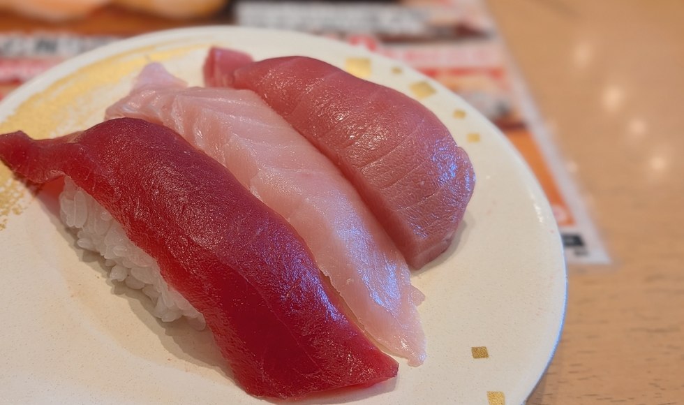 ���A�a�\�h�����` ���c�� �����Ă���i