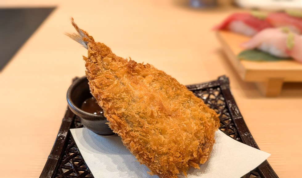 �A�W�t���C ��a�� �J�^����