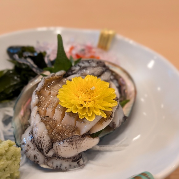 �A���r ��a�� �J�^�~�[�e�B���O