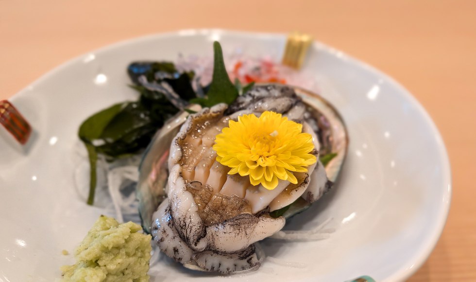 �A���r ��a�� �J�^�~�[�e�B���O