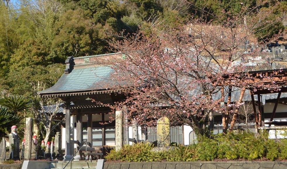 ����@�̉͒Í� �J�ԏ� �ߘa8�N