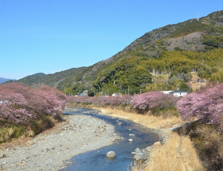 �͒Í��J�ԏ� 2026/2/6