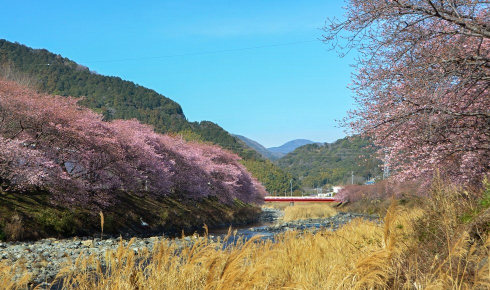 �͒Ð쉈���̍� �J�ԏ� 2026