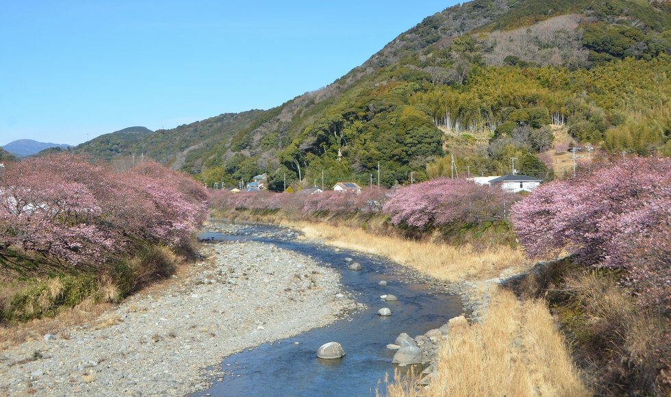 �͒Í��J�ԏ� 2026/2/6