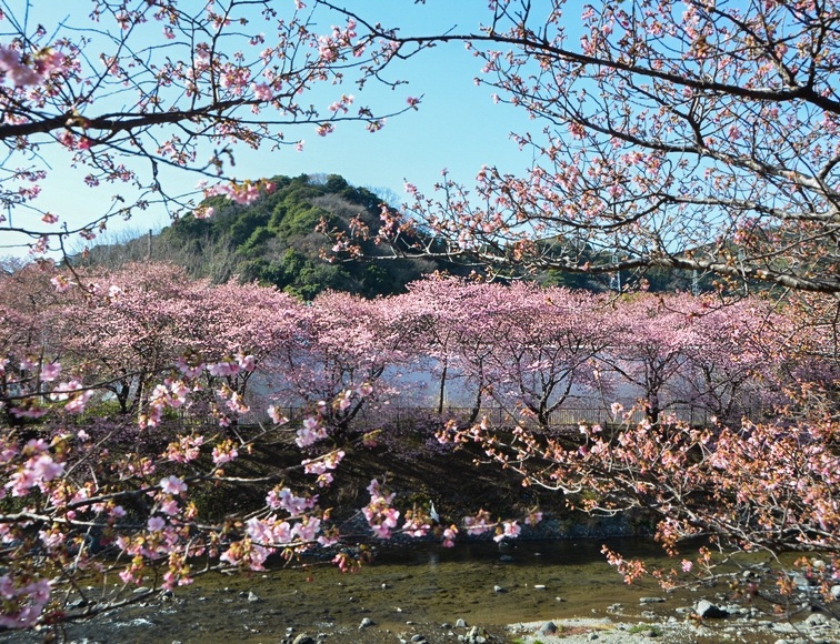 �͒Ð쉈���̍� �ߘa8�N2��6��