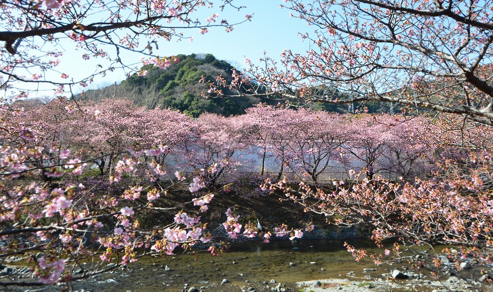 �͒Ð쉈���̍� �ߘa8�N2��6��