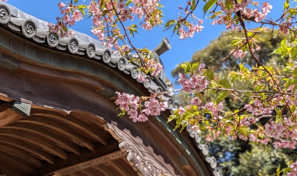 ��Ȑ_�Ђ̉͒Í�