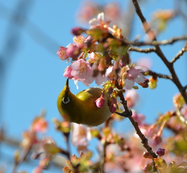 �͒Í��ƃ��W�� ���� �O���_��