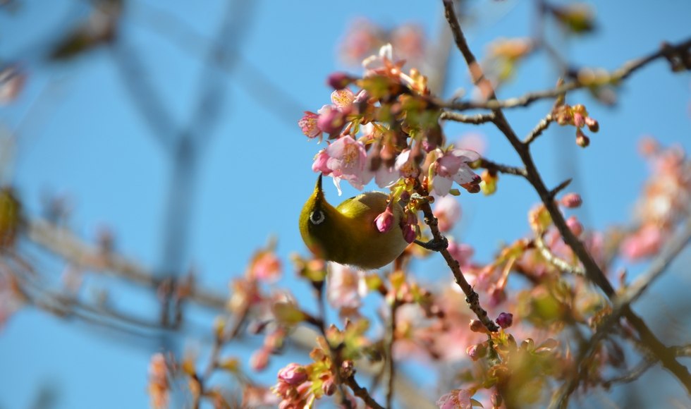 �͒Í��ƃ��W�� ���� �O���_��