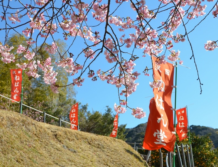 �͒Í� �J�ԏ� 2026 �˂͂�