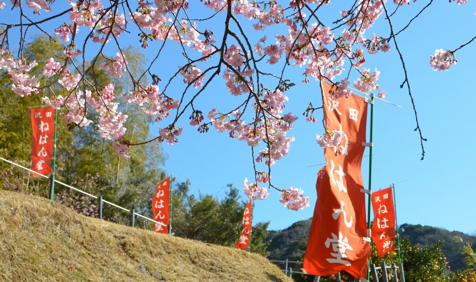 �͒Í� �J�ԏ� 2026 �˂͂�