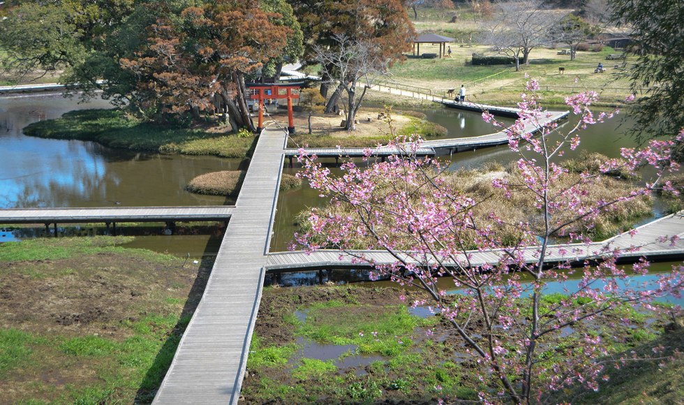 �������������̍� �J�� 2026