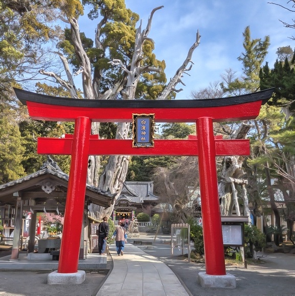 �����т̃p���[�X�|�b�g ���l�_��