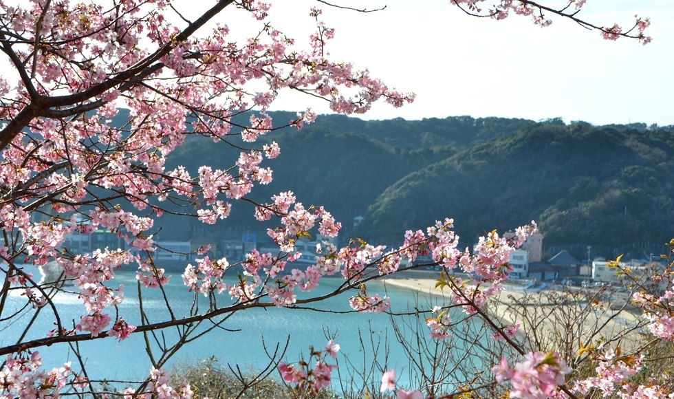 ���c�r���[�z�e���̉͒Í�