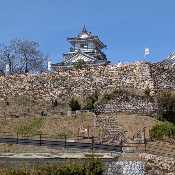 �l���̊J�^�p���[�X�|�b�g �l����