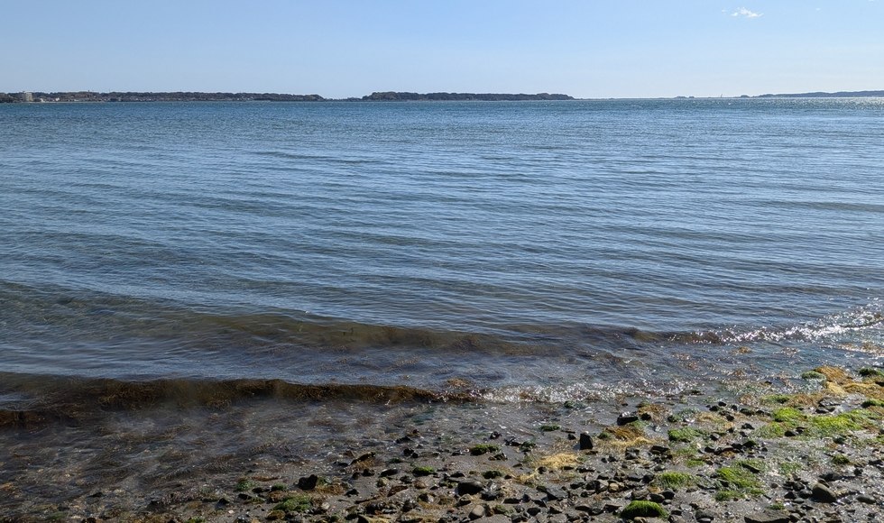 �l���΂͊C�ł����H�΂ł����H