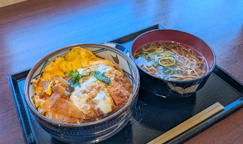 ���� �q�V���T�[�r�X�G���A (����)