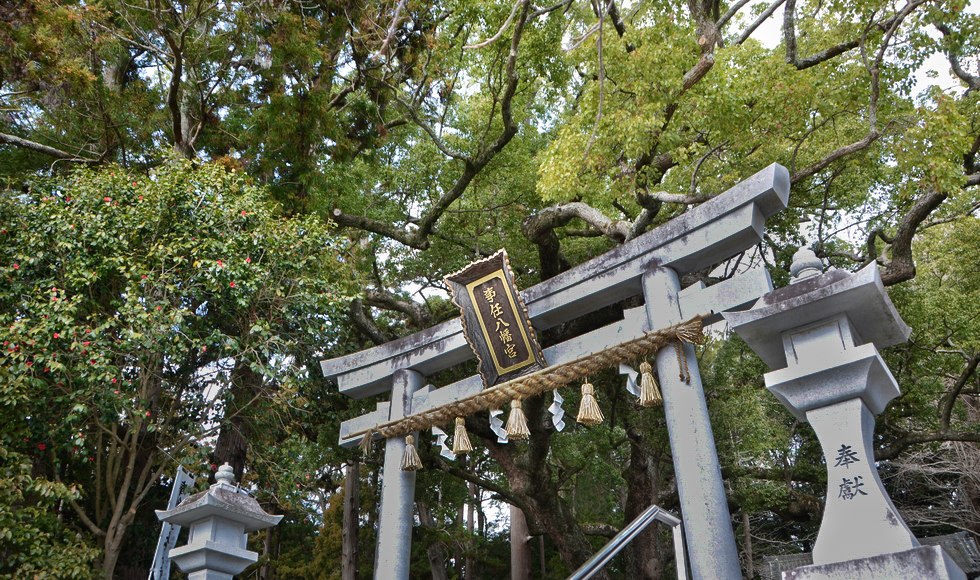 ���t�ɂ����肢�������_�� �É��� �|��