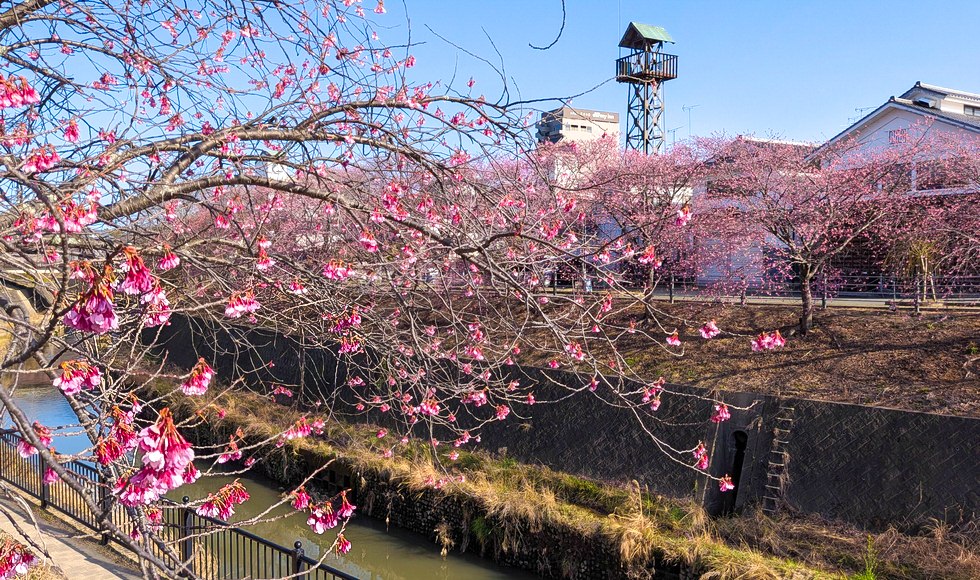 �|������J�܂ł͂��Ə���