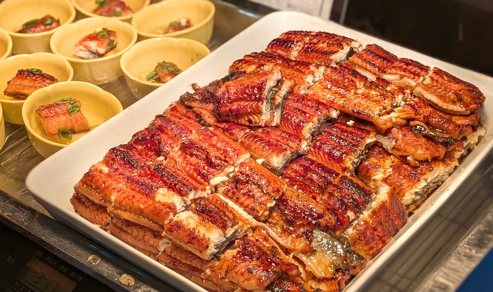 �E�i�M�H�ו��� �l���� �z�e��